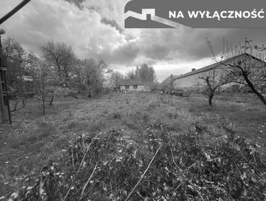 Zdjęcie 15341413
