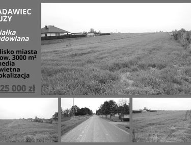 Zdjęcie 15341450