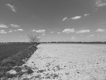 Zdjęcie 15341466