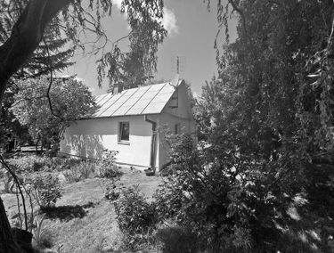 Zdjęcie 15341675