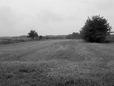 Zdjęcie 15341713