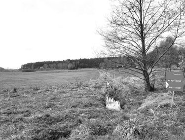 Zdjęcie 15341962
