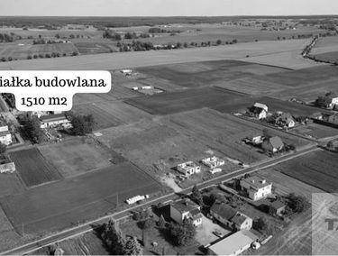 Zdjęcie 15342347
