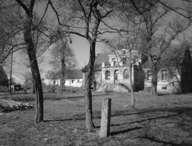 Zdjęcie 15342387