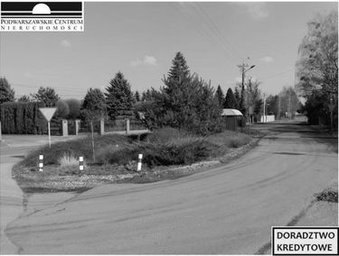 Zdjęcie 15342981
