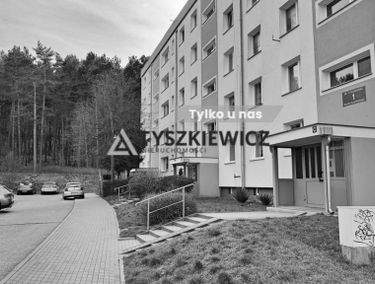 Zdjęcie 15343988