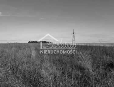 Zdjęcie 15345273