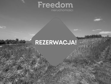 Zdjęcie 15345434