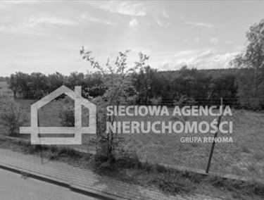 Zdjęcie 15345801