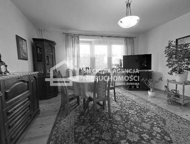 Zdjęcie 15347287