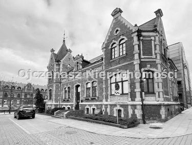Zdjęcie 15347301