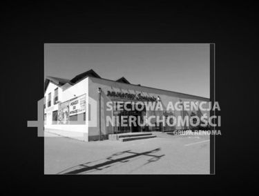 Zdjęcie 15347369