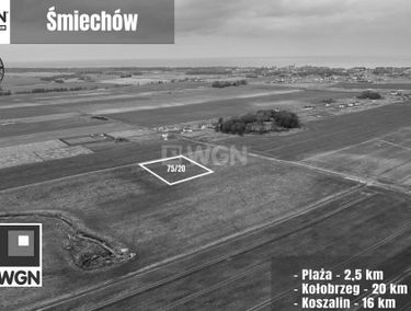 Zdjęcie 15347427