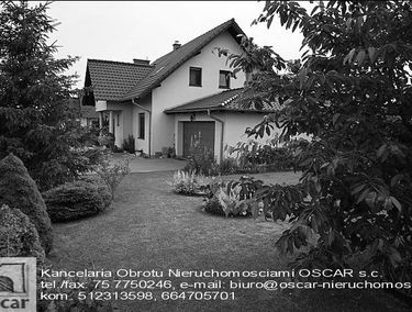 Zdjęcie 15347705