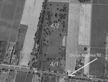 Zdjęcie 15348156