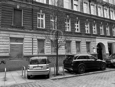 Zdjęcie 15348552
