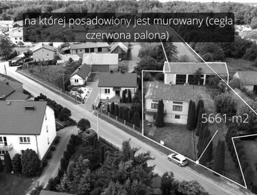 Zdjęcie 15348822