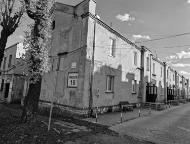 Zdjęcie 15349208