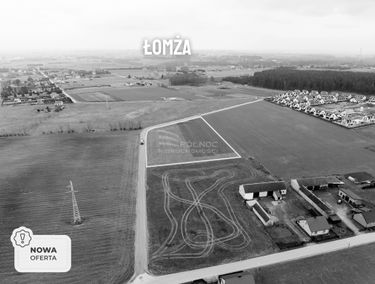 Zdjęcie 15349297