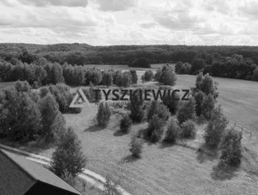 Zdjęcie 15350170