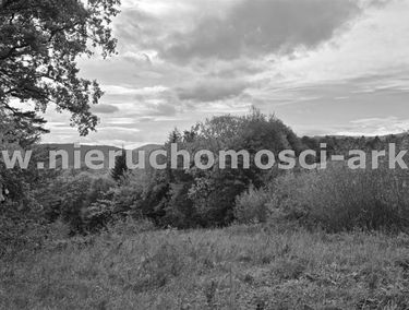 Zdjęcie 15351033