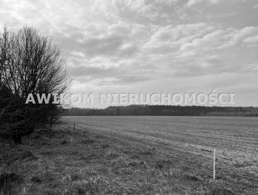 Zdjęcie 15351565