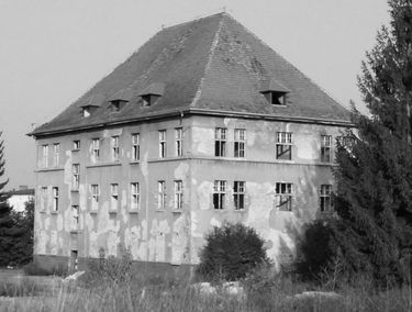 Zdjęcie 15352099