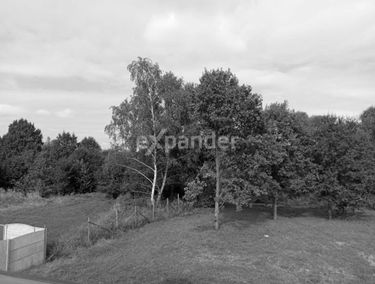 Zdjęcie 15352135