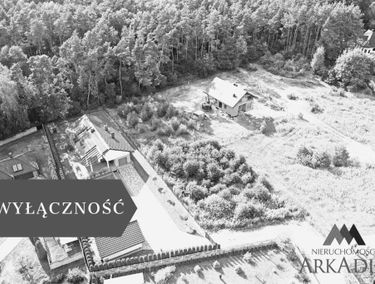 Zdjęcie 15353737