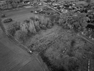 Zdjęcie 15353827