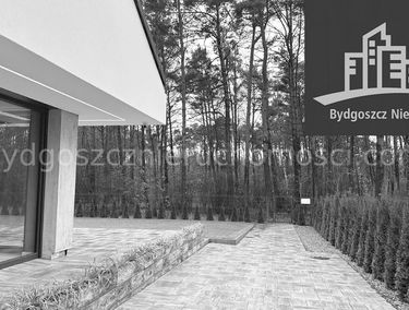 Zdjęcie 15354718