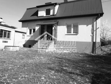 Zdjęcie 15354886