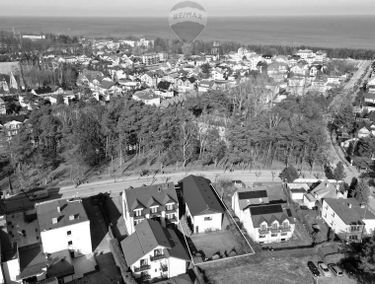 Zdjęcie 15355063