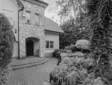 Zdjęcie 15355167