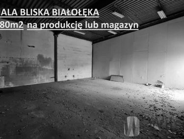 Zdjęcie 15355355