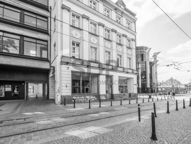 Zdjęcie 15357476
