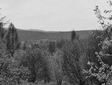 Zdjęcie 15357575