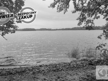 Zdjęcie 15358377