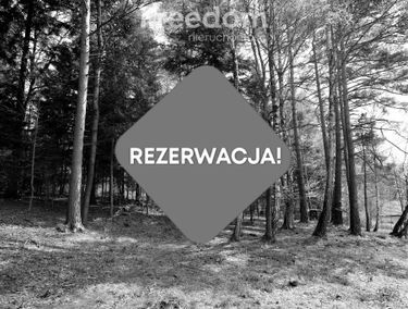 Zdjęcie 15358644
