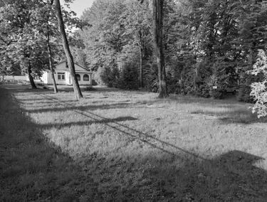 Zdjęcie 15358806