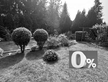 Zdjęcie 15359710