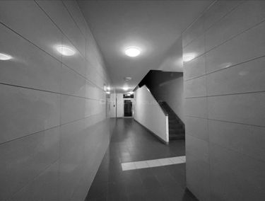 Zdjęcie 15360144