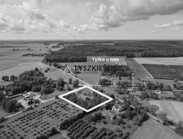 Zdjęcie 15360251