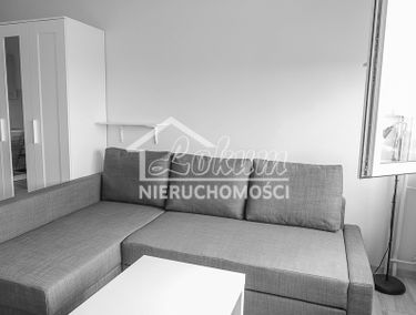 Zdjęcie 15360812