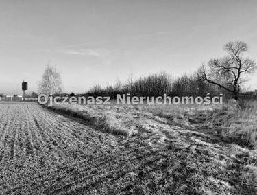 Zdjęcie 15361085