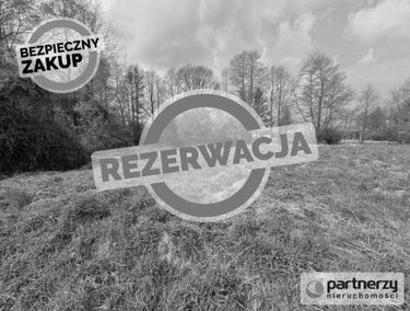 Zdjęcie 15361601