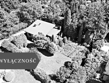 Zdjęcie 15361755