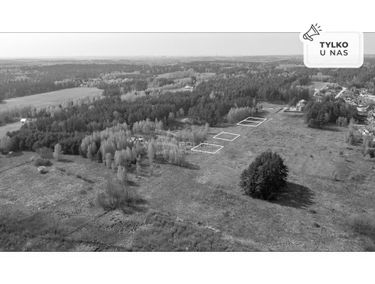 Zdjęcie 15363413