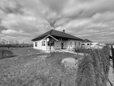 Zdjęcie 15363503