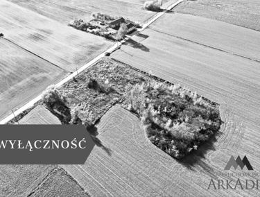 Zdjęcie 15364093